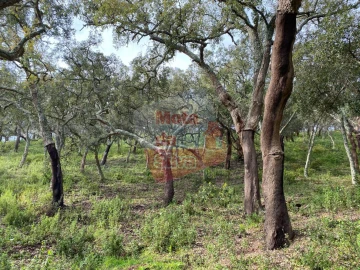 Terreno para Venda em São Francisco da Serra