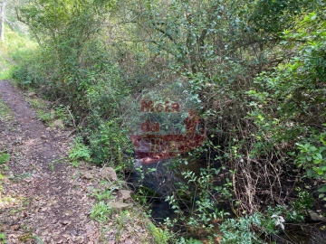 Terreno para Venda em São Francisco da Serra