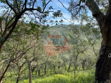 Terreno para Venda em São Francisco da Serra