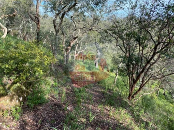 Terreno para Venda em São Francisco da Serra
