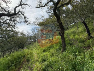 Terreno para Venda em São Francisco da Serra