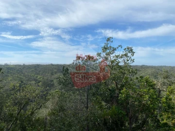 Terreno para Venda em São Francisco da Serra