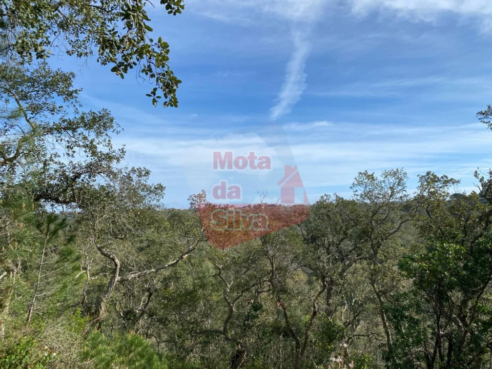 Terreno para Venda em São Francisco da Serra Foto 1