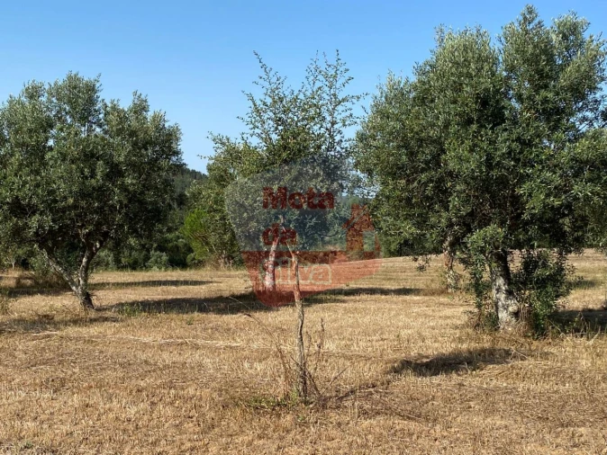 Terreno para Venda em São Francisco da Serra Foto 10