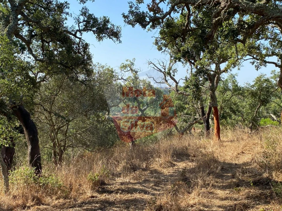 Terreno para Venda em São Francisco da Serra Foto 12