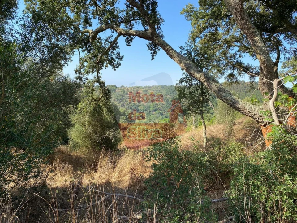 Terreno para Venda em São Francisco da Serra Foto 11