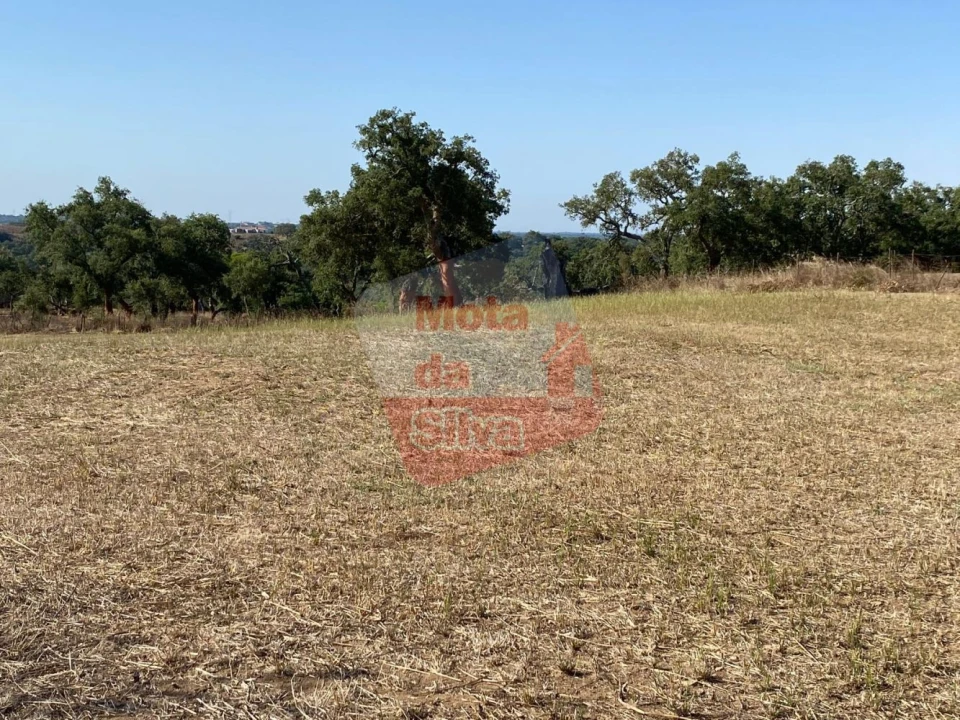 Terreno para Venda em São Francisco da Serra Foto 7