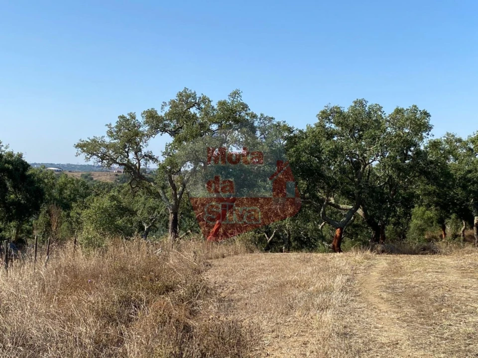 Terreno para Venda em São Francisco da Serra Foto 6