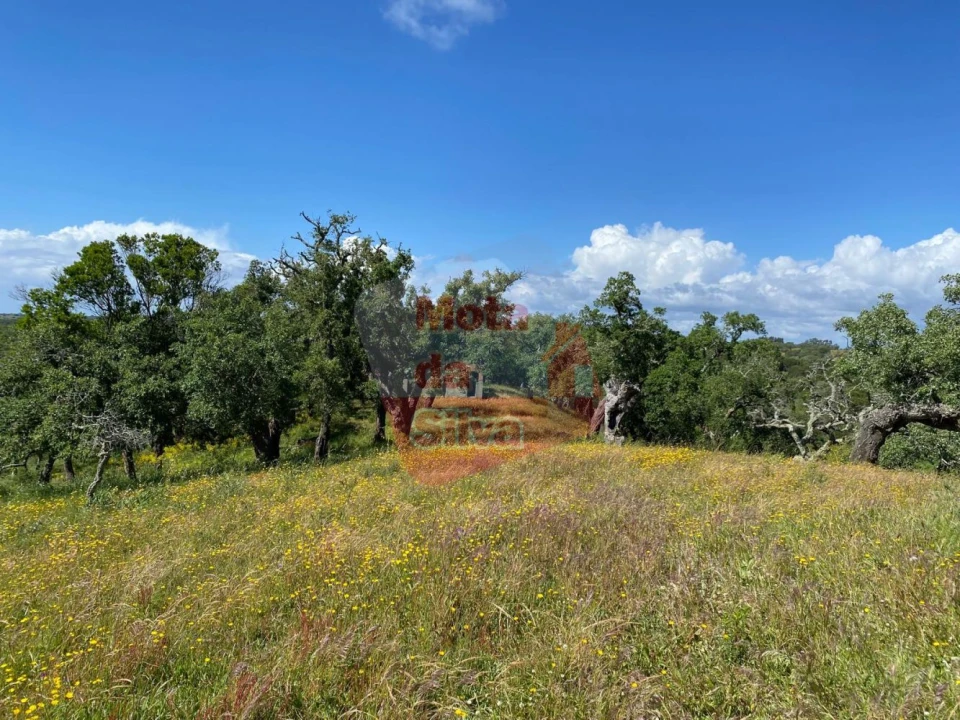 Quinta T3 para Venda em São Francisco da Serra Foto 12