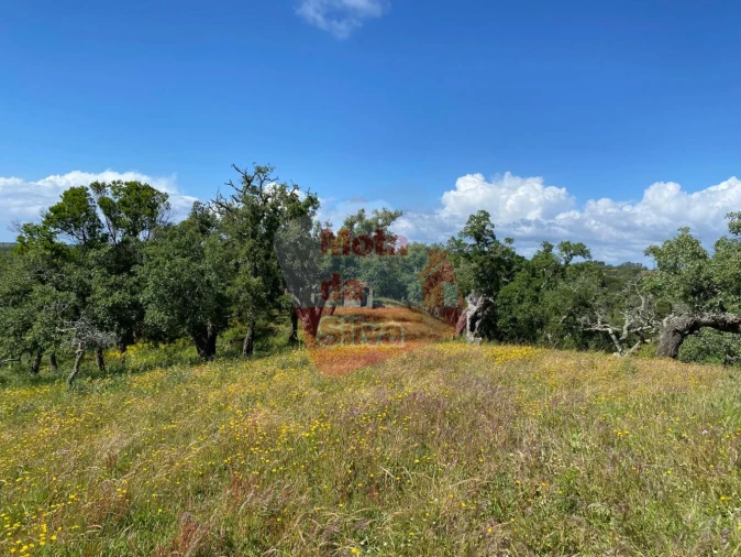 Quinta T3 para Venda em São Francisco da Serra Foto 12