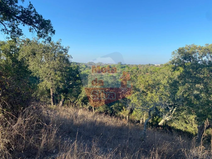Quinta T3 para Venda em São Francisco da Serra Foto 11