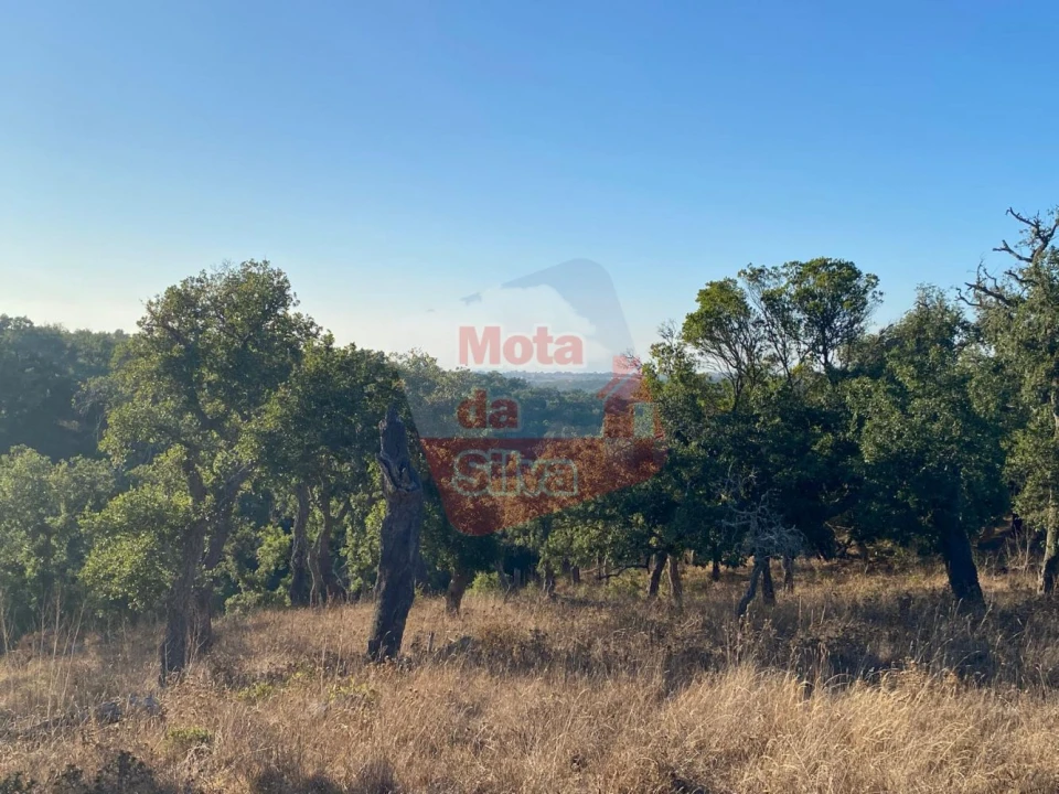 Quinta T3 para Venda em São Francisco da Serra Foto 10