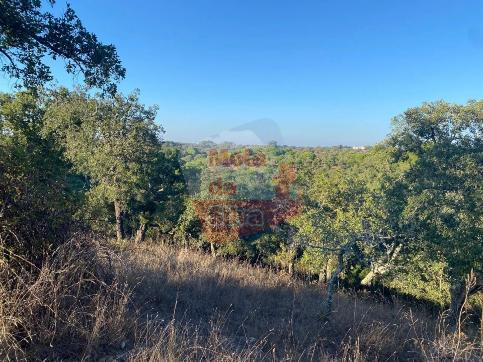 Quinta T3 para Venda em São Francisco da Serra Foto 11