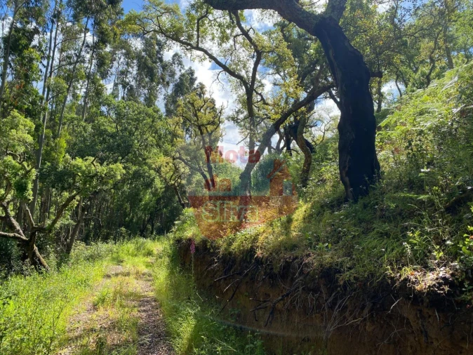 Terreno para Venda em São Francisco da Serra Foto 10