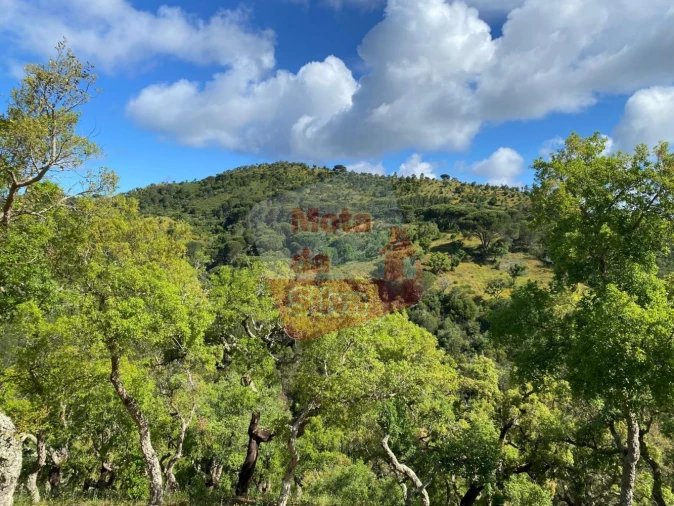 Terreno para Venda em São Francisco da Serra Foto 2
