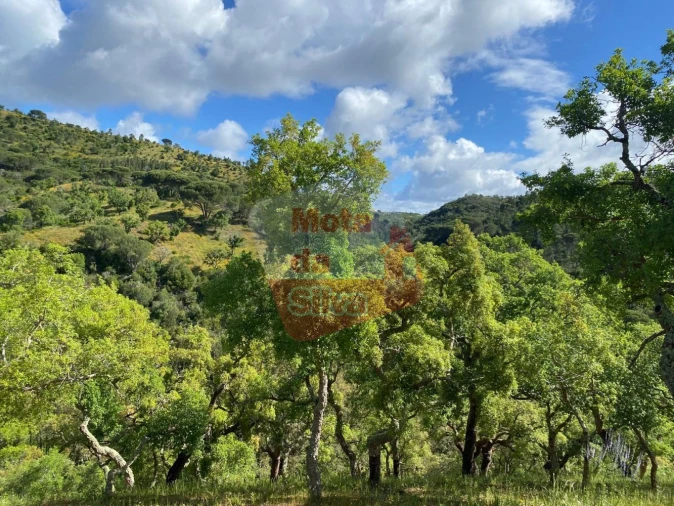 Terreno para Venda em São Francisco da Serra Foto 3