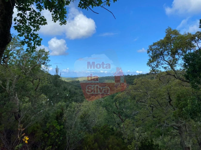 Terreno para Venda em São Francisco da Serra