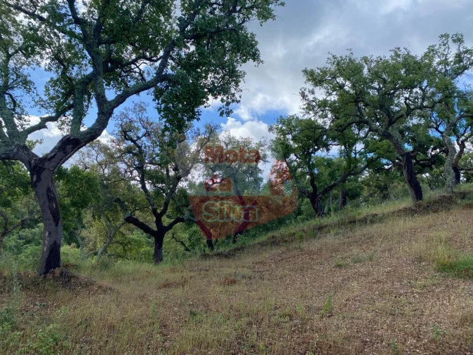 Terreno para Venda em São Francisco da Serra Foto 5