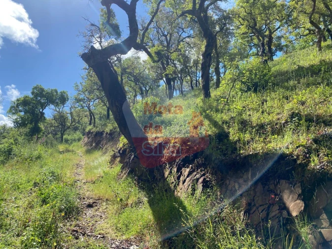 Terreno para Venda em São Francisco da Serra Foto 8