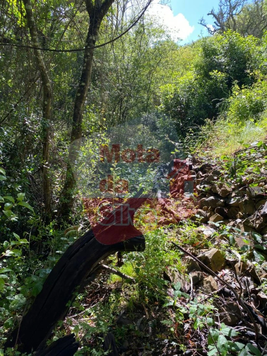 Terreno para Venda em São Francisco da Serra Foto 13