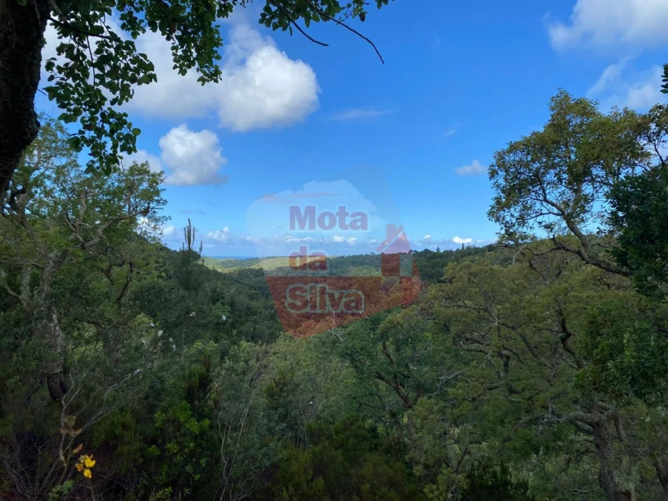 Terreno para Venda em São Francisco da Serra Foto 1