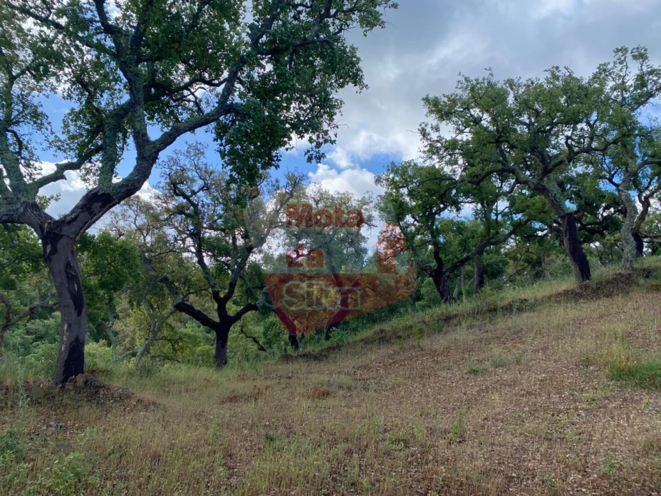 Terreno para Venda em São Francisco da Serra Foto 5