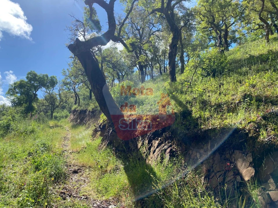 Terreno para Venda em São Francisco da Serra Foto 8