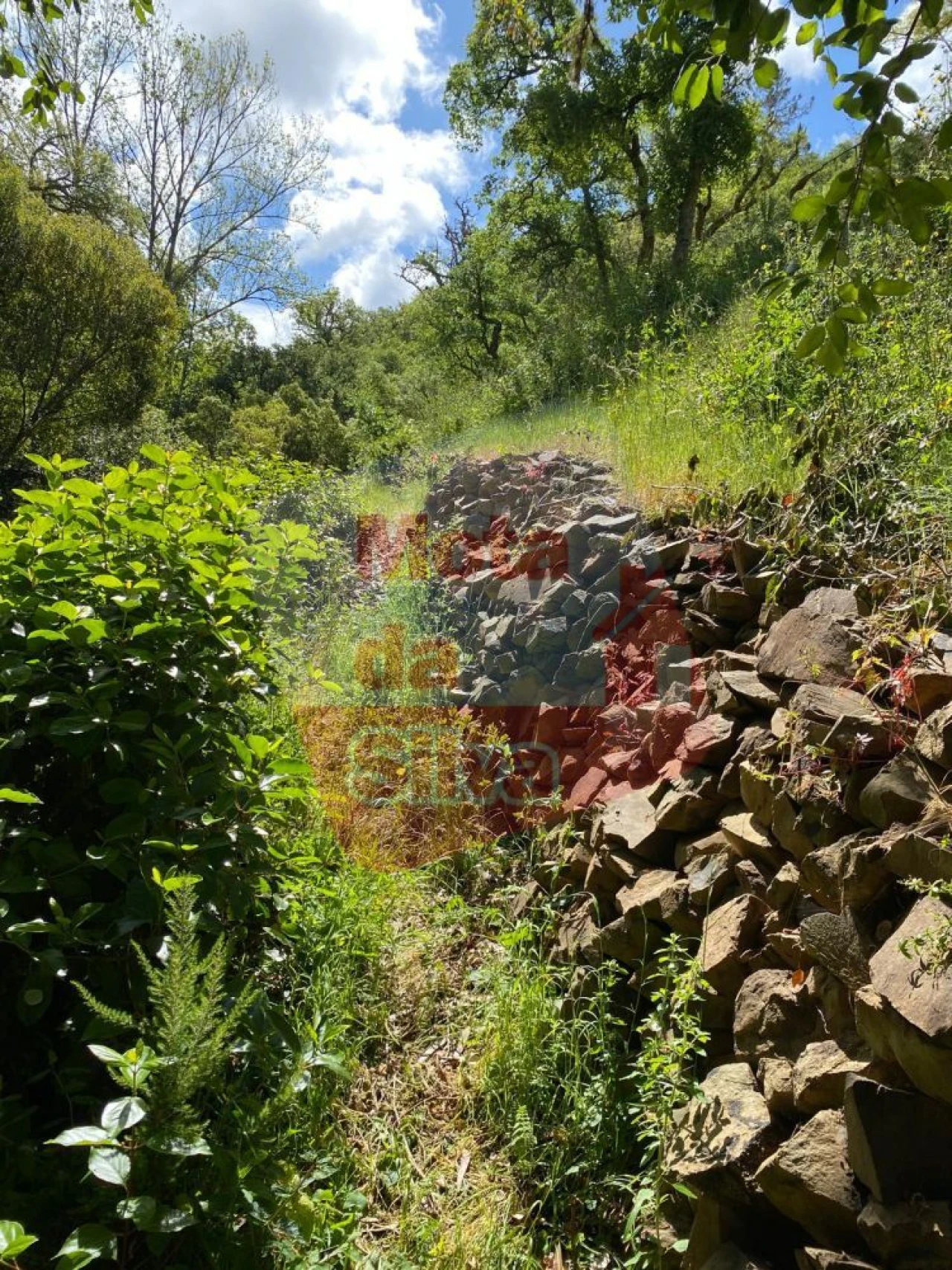 Terreno para Venda em São Francisco da Serra Foto 12