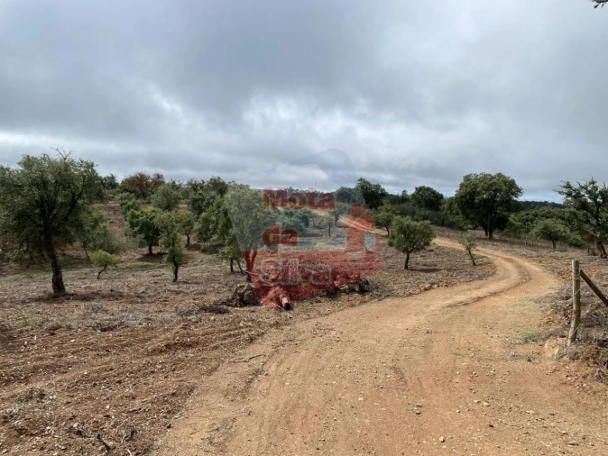 Moradia T2 para Venda em Santiago do Cacém, Santa Cruz e São Bartolomeu da Serra Foto 9