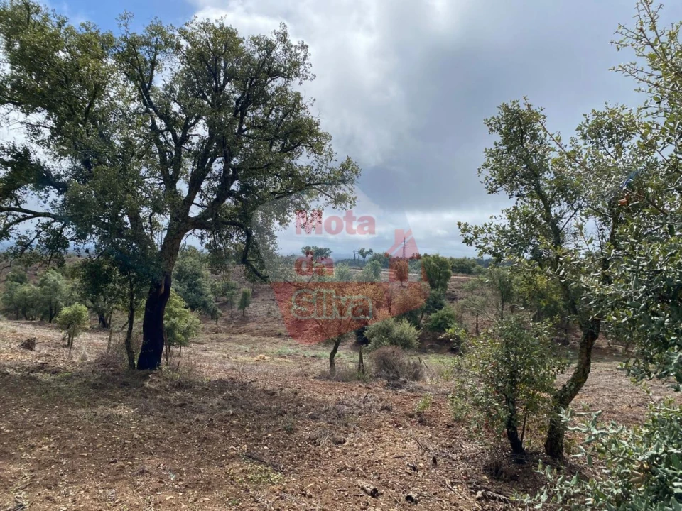 Moradia T2 para Venda em Santiago do Cacém, Santa Cruz e São Bartolomeu da Serra Foto 14