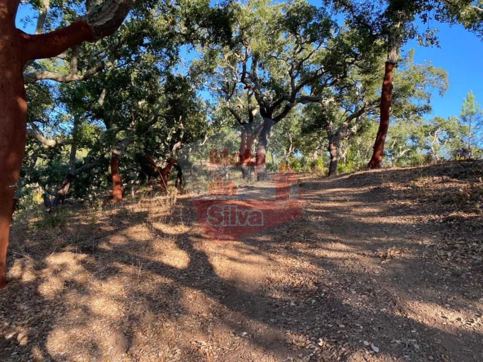 Terreno para Venda em São Francisco da Serra Foto 14