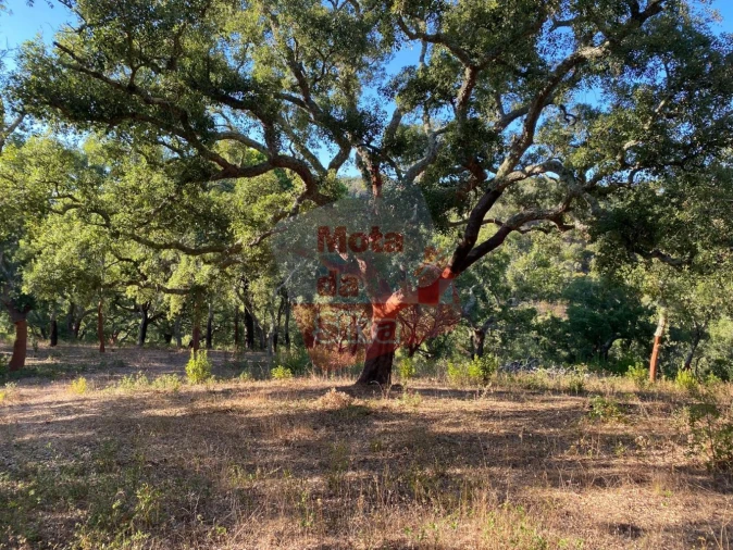 Terreno para Venda em São Francisco da Serra Foto 13