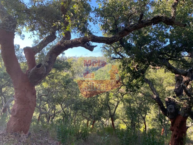 Terreno para Venda em São Francisco da Serra