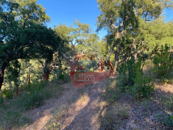 Terreno para Venda em São Francisco da Serra Foto 2