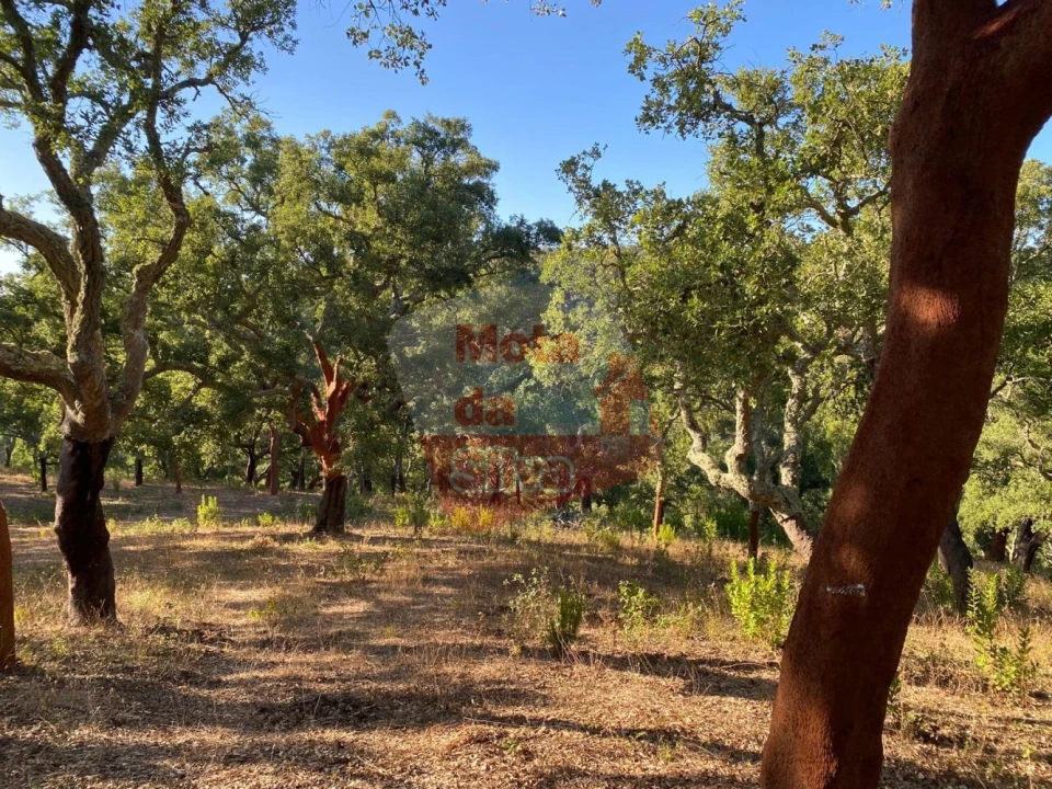 Terreno para Venda em São Francisco da Serra Foto 12