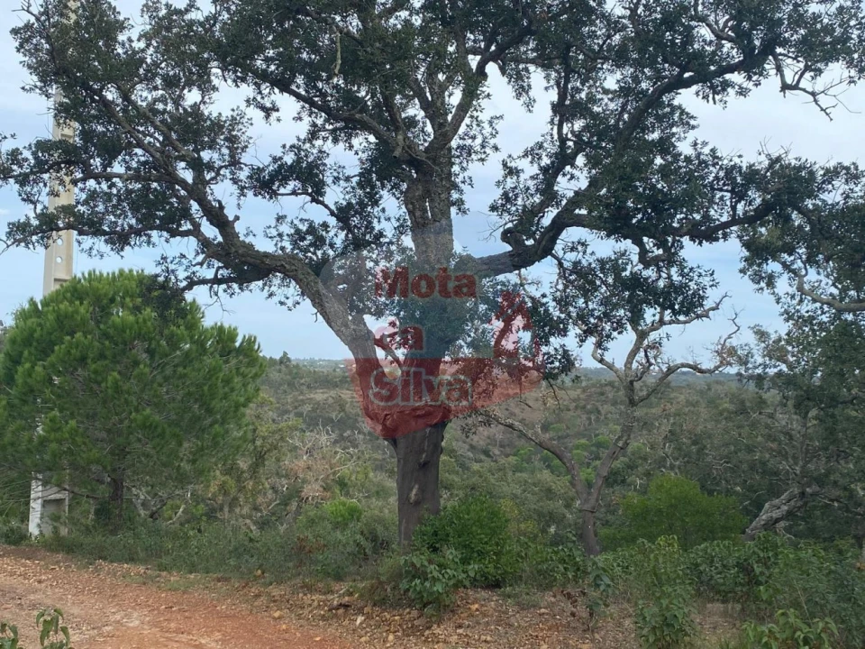 Terreno para Venda em São Francisco da Serra Foto 6
