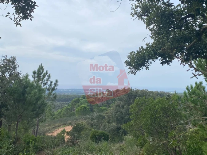 Terreno para Venda em São Francisco da Serra Foto 4