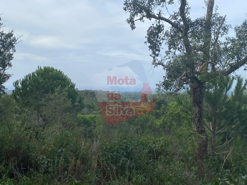 Terreno para Venda em São Francisco da Serra Foto 3