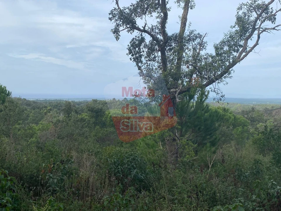 Terreno para Venda em São Francisco da Serra Foto 12