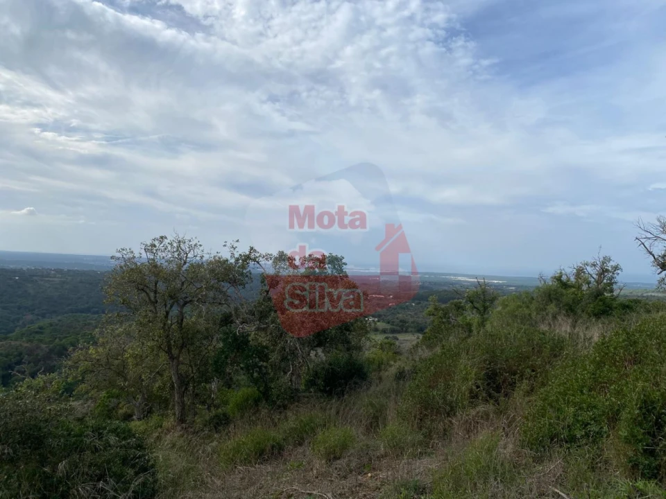 Terreno para Venda em São Francisco da Serra Foto 1