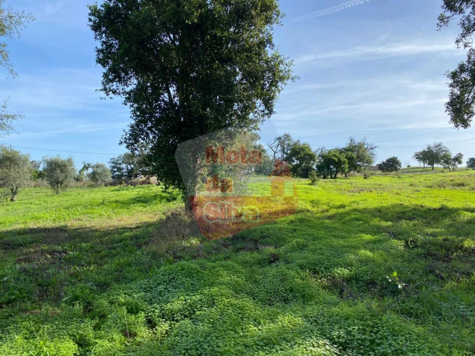 Terreno para Venda em São Francisco da Serra Foto 9