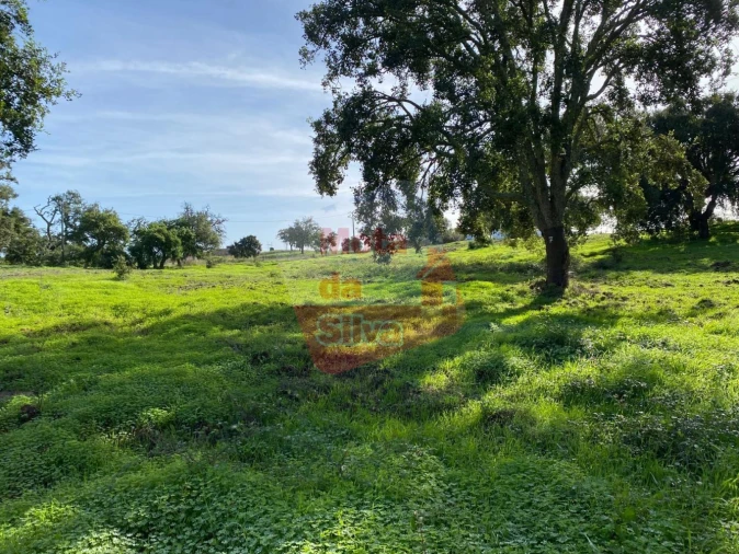Terreno para Venda em São Francisco da Serra Foto 2