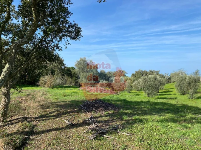 Terreno para Venda em São Francisco da Serra Foto 10