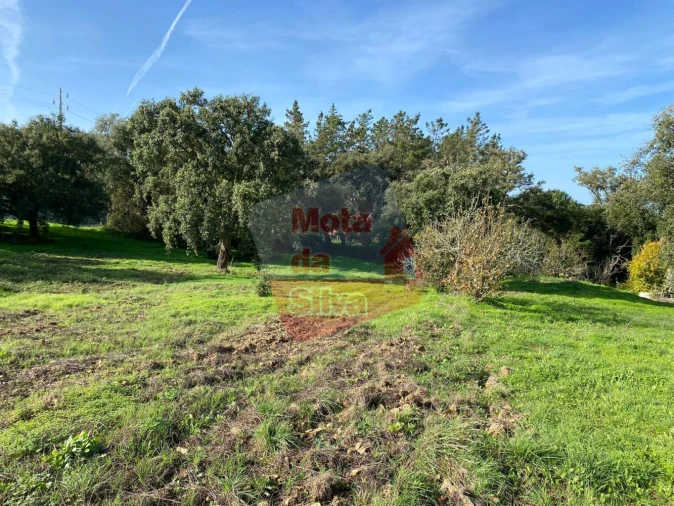 Terreno para Venda em São Francisco da Serra Foto 6
