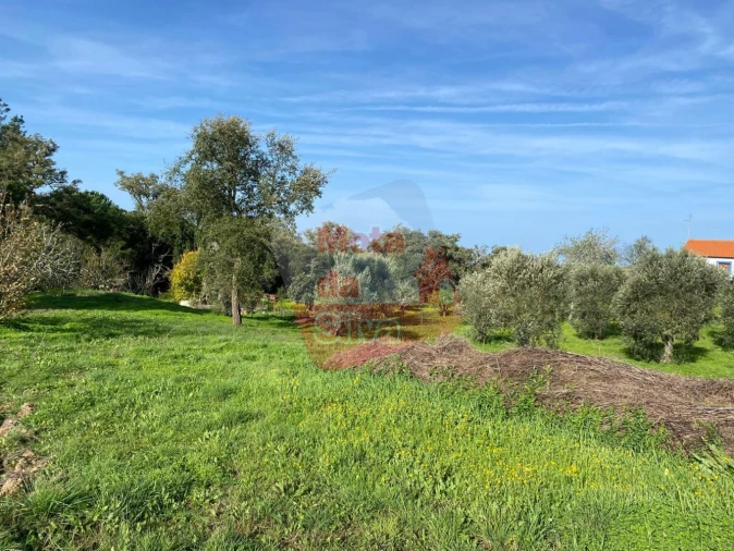 Terreno para Venda em São Francisco da Serra Foto 5