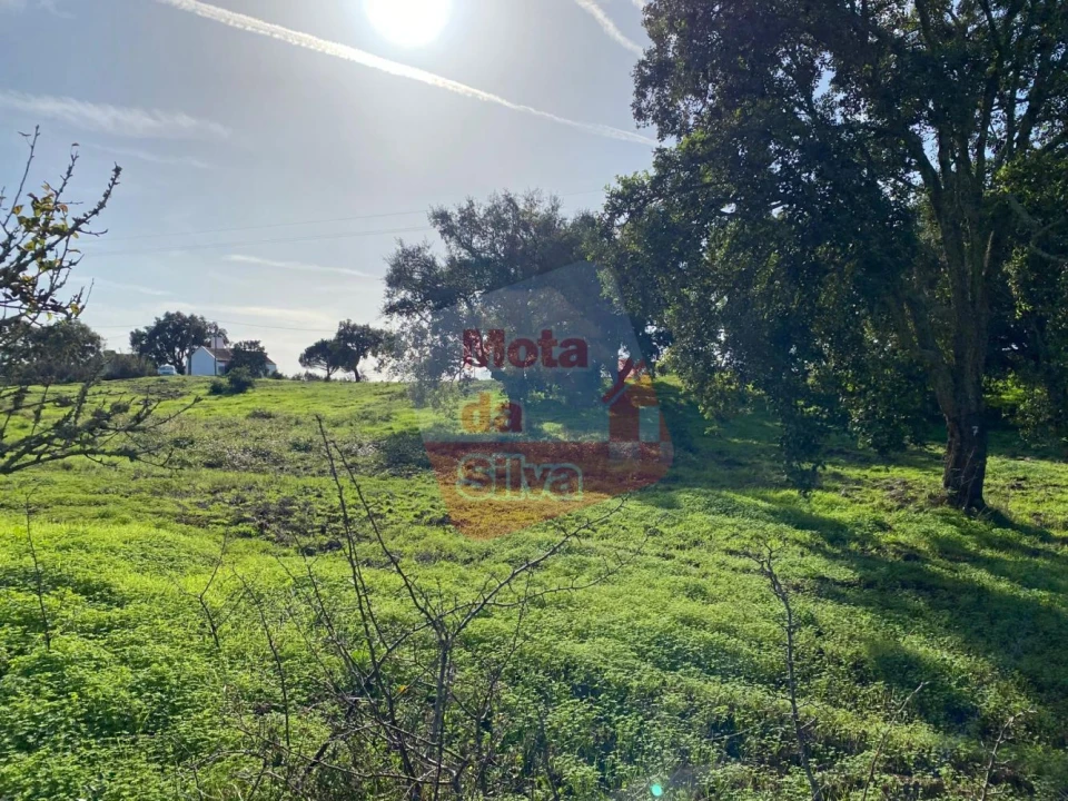 Terreno para Venda em São Francisco da Serra Foto 4
