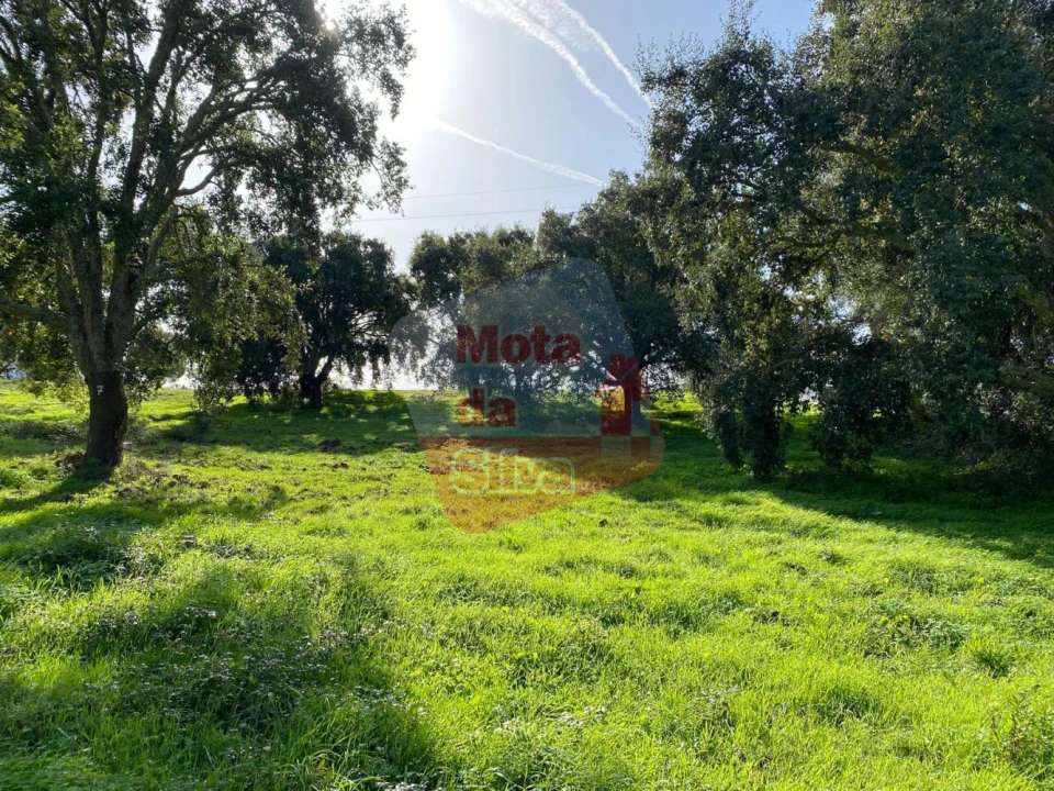 Terreno para Venda em São Francisco da Serra Foto 8
