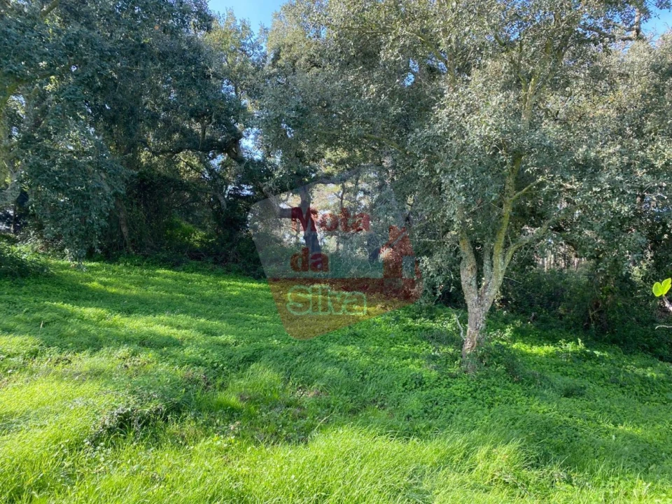 Terreno para Venda em São Francisco da Serra Foto 3