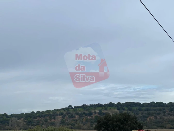 Terreno para Venda em Torrão Foto 5