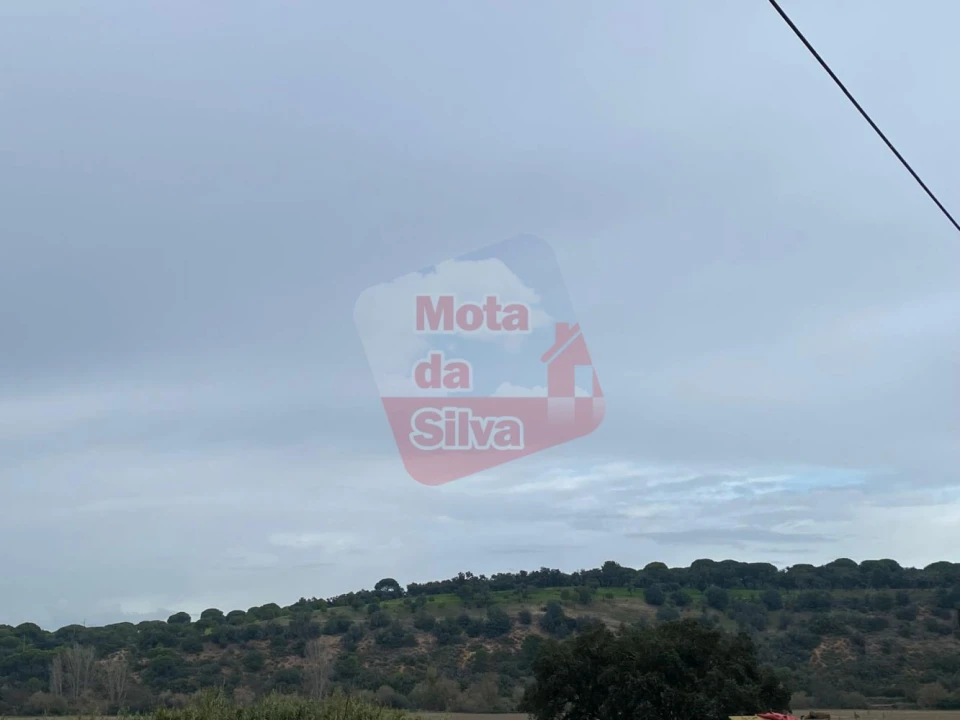 Terreno para Venda em Torrão Foto 5